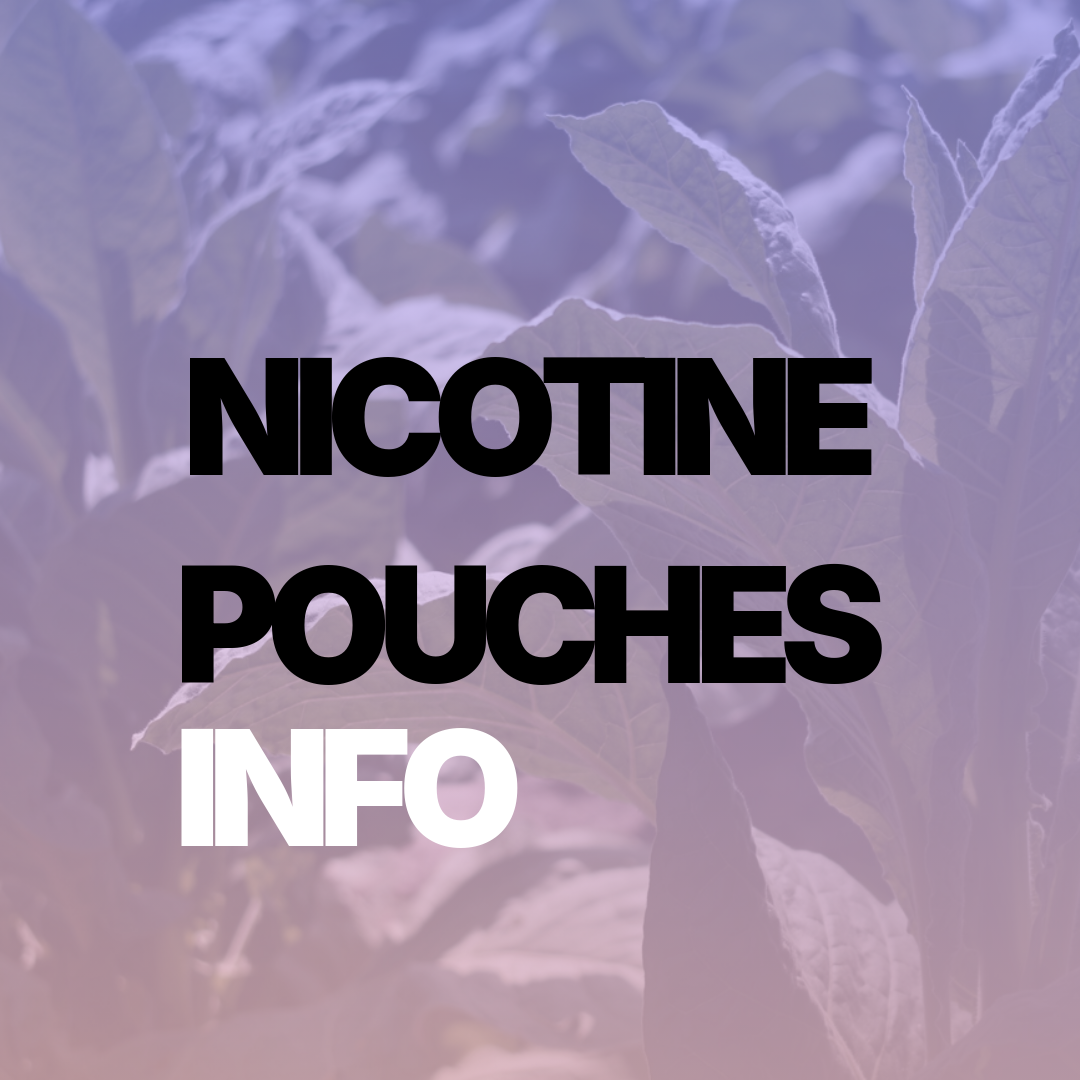 Nicotine Pouches and Nicotine Delivery