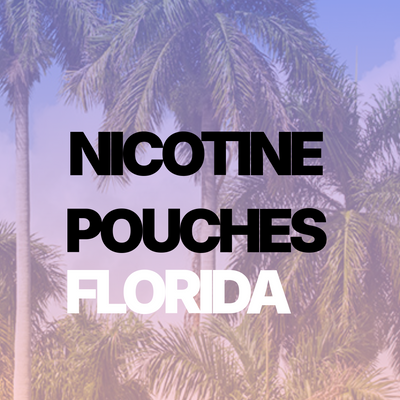 Navigating the Legal Landscape of Nicotine Pouches in Florida