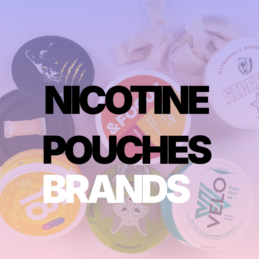 Top Nicotine Pouch Brands: Our Global Brand Selection