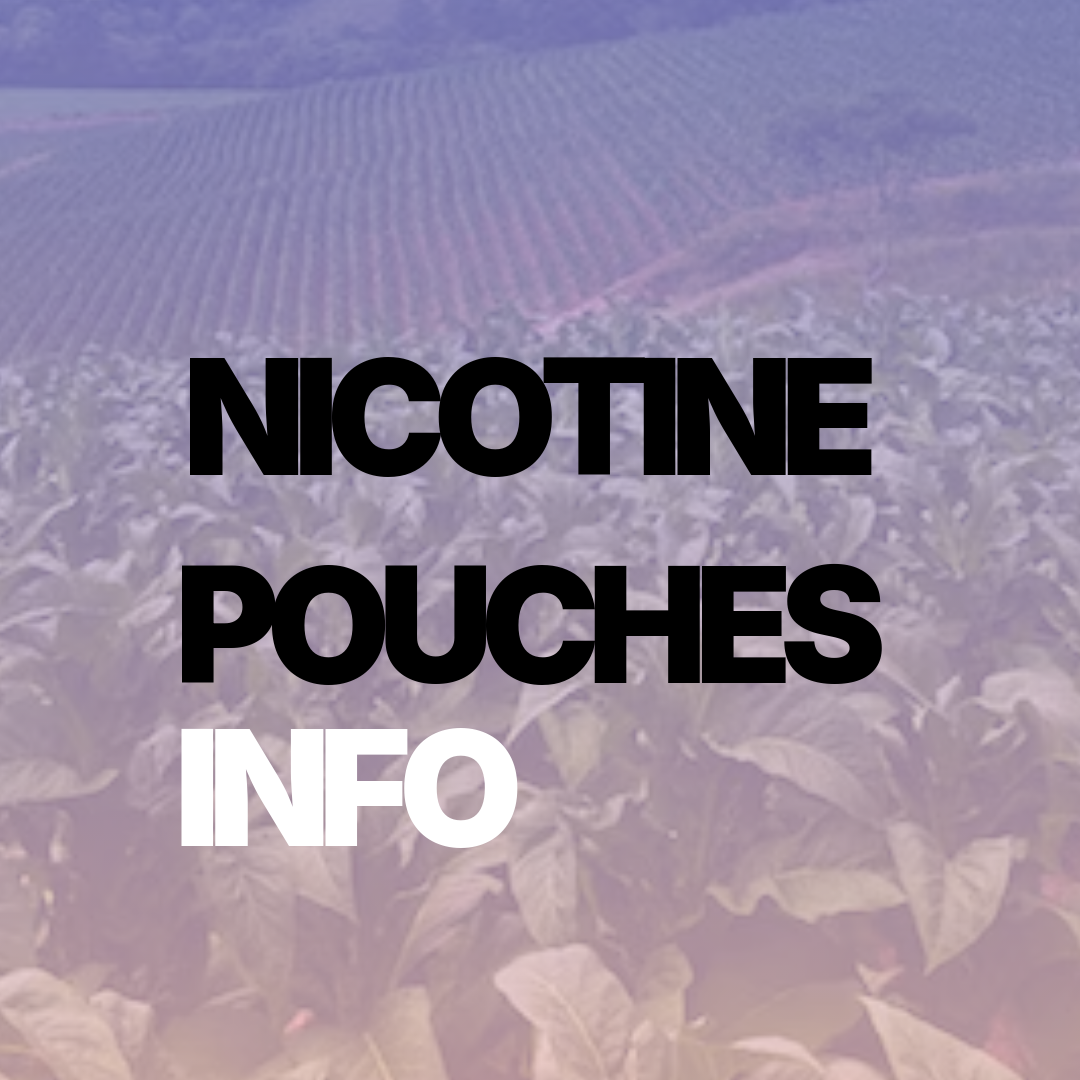 Nicotine Pouches and the Global Tobacco Landscape