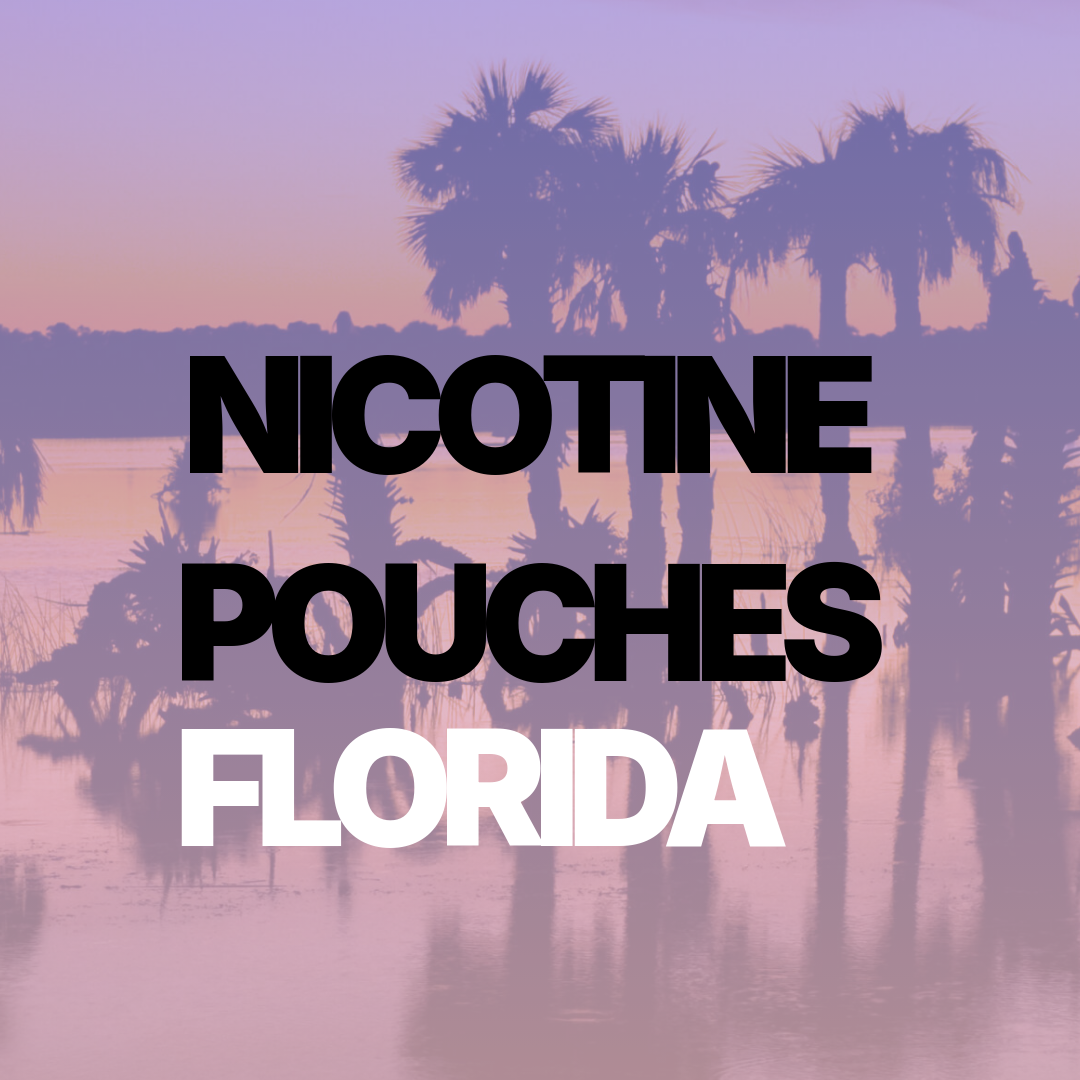 Top 5 Benefits of Using Nicotine Pouches Over Tobacco in Florida