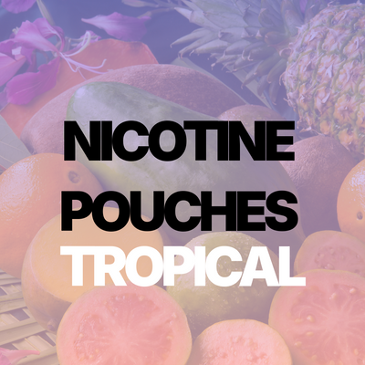 Exploring Tropical Nicotine Pouches