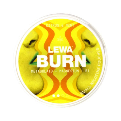 Lewa Burn Zitrus & Minze Nikotinbeutel