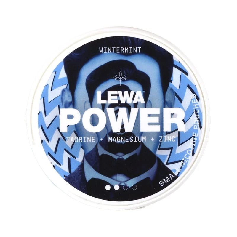 LEWA POWER Wintermint Nicotine Zakjes