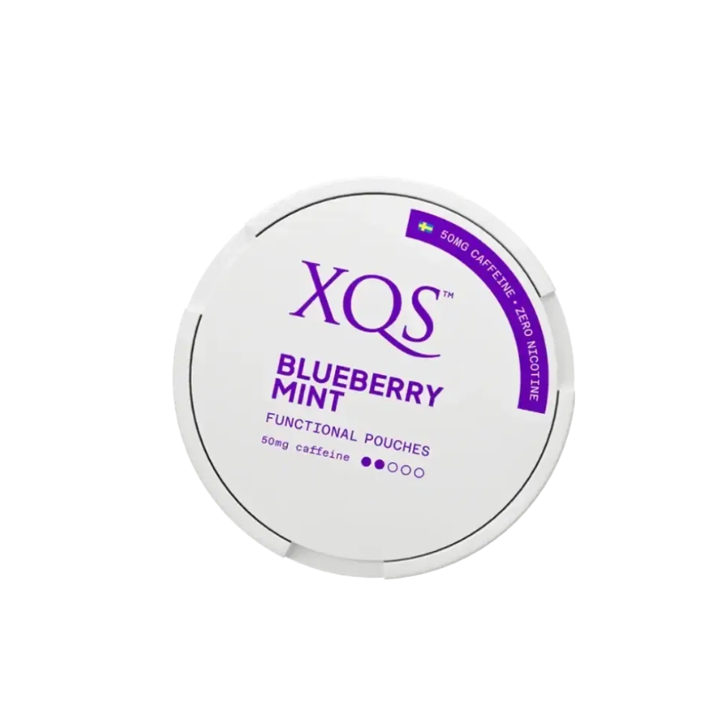 xqs-blueberry-mint-nicotinefree-0mg-nicotine-pouches-online-snusljus